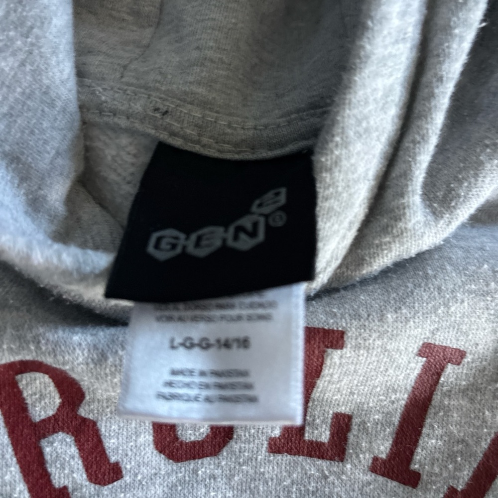 Carolina Gamecocks Kids Gray Hoodie - Picture 3 of 4